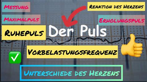 Der Puls alles über den Puls in 6 Minuten erklärt tips YouTube