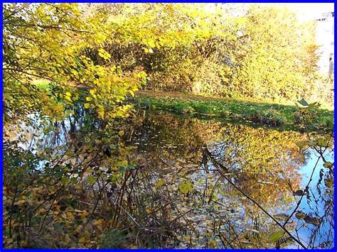 Ilkeston - Along A Canal Path