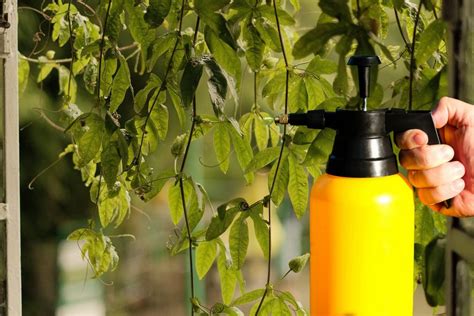 The Best Garden Sprayers For A Clean And Healthy Garden