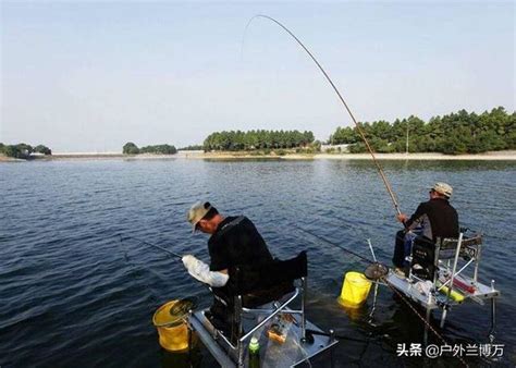 秋季釣草魚心得分享，喜歡釣草魚的釣友別錯過 每日頭條