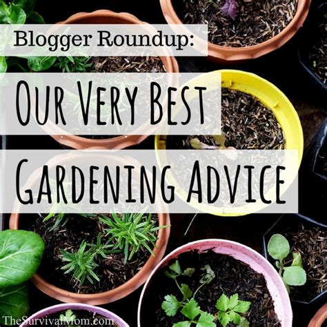 27 Tips From A Master Gardener Gardening Advice Gardening Tips