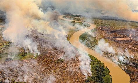 Fogo No Pantanal Atinge Fazendas Onde Desmatamento Foi Autorizado