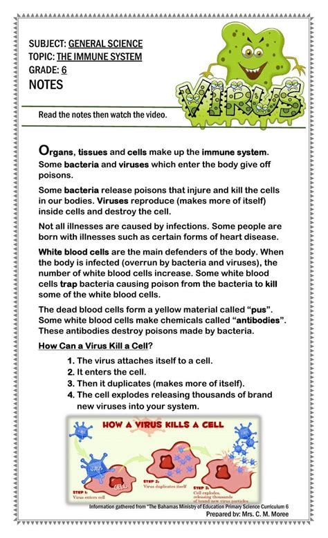 The Immune System Interactive Worksheet Live Worksheets