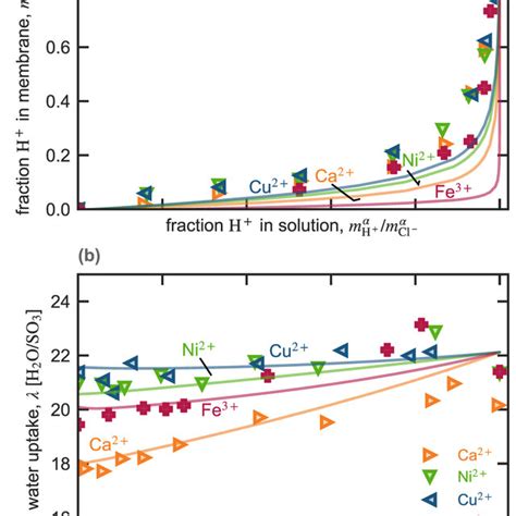 Measured Symbols And Calculated Solid Lines Membrane Proton