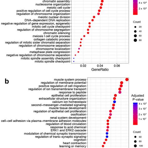 Top 30 Over Represented Gene Ontology Go Terms In Biological Process Download Scientific