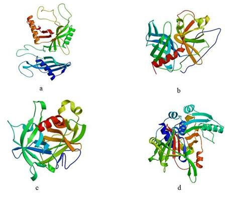 Tertiary Structure Of Four Proteins Of T Spiralis Predicted By The