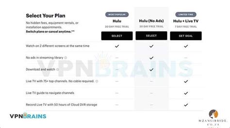 How Much Is Hulu In South Africa Pricing And Subscription Options