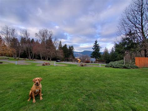 Camping Season Is Coming Are You Riffe Lake Campground