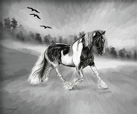 Wild Pinto Digital Art Digital Art By Ericamaxine Price Fine Art