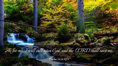 Psalms 55 16 Kjv Desktop Wallpaper As For Me I Will Call Upon God