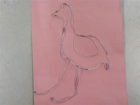 Wire Animal Drawings - Crandell's Class Creations