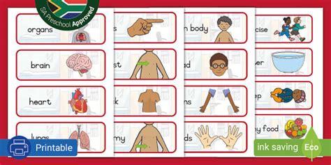 My Body Word Cards Teacher Made Twinkl