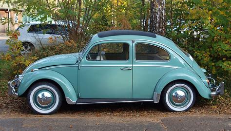 Teal Volkswagen Beetle Park Treee Vw Beetle Vw Oldtimer Volkswagen