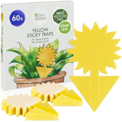 Owngrown Yellow Sticky Traps For Gnats 60x Gnat Traps For House