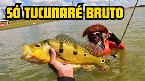 ENCONTREI UM CARDUME GIGANTE DE TUCUNARÉ NO RIO GRANDE YouTube