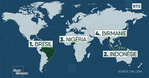 Pays Les Plus Touchés Par La Déforestation Rts Ch Info