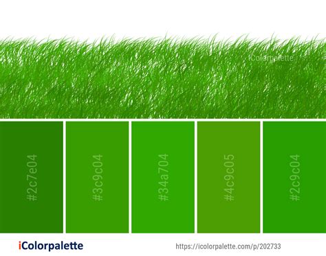 Color Palette Ideas From 3434 Grass Images Icolorpalette Wheat Grass Find Color Green Grass