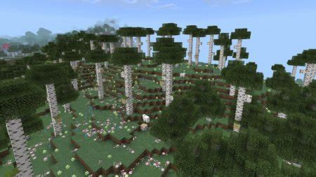 Bootleg Birch Biome Minecraft Addon