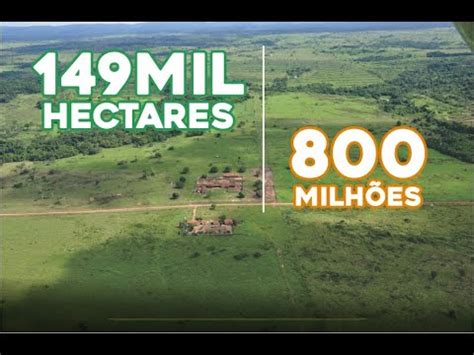 UMA DAS MAIORES FAZENDA BRASILEIRA POR 800 MILHÕES DE REAIS YouTube