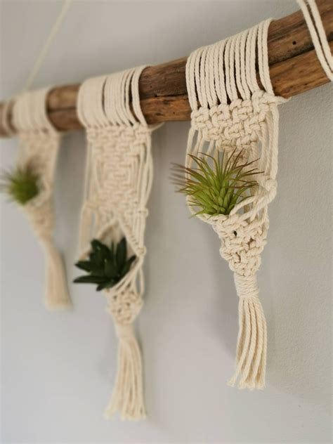 Suculentas Plantas Titular Macrame Pared Colgante Etsy