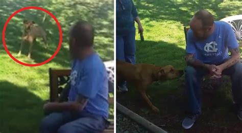 A Man Is Unrecognizable Except For His Smell And His Dog Remembers