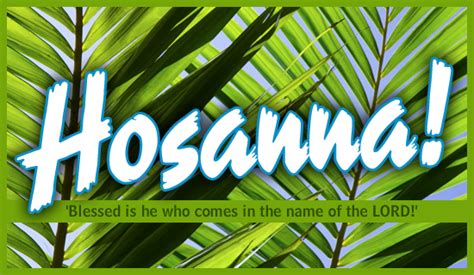 Sermon Mark 111 11 Hosanna A Palm Sunday Plea First Baptist