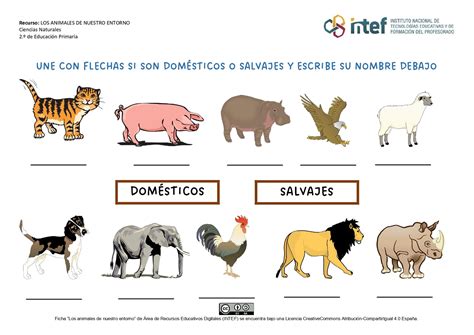 Clasificamos animales | Los tipos de animales