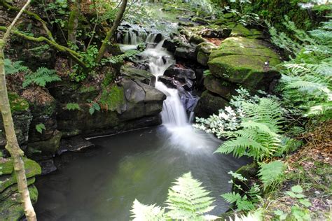 Free Images Nature Forest Waterfall River Pond Foliage Stream