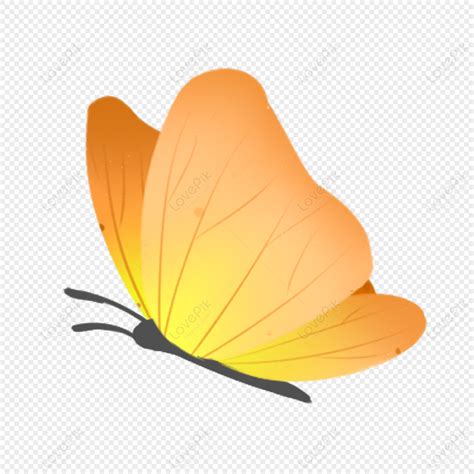 Mariposa Amarilla Png Vectores Psd E Clipart Para Descarga Gratuita