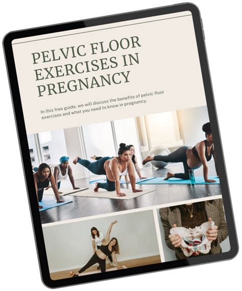 Pelvic Floor Physiotherapy Free Guide Pelvic Floor Exercises During Pregnancy For A Healthy