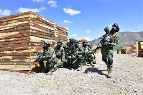 Ejercito Mexicano Y Guardia Nacional Se Entrenan Juntos Noticias