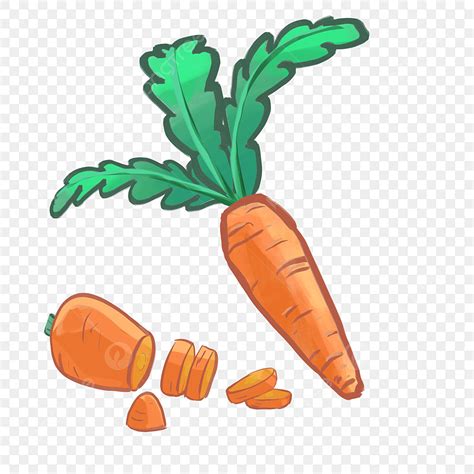 Cartoon Carrot Clipart Png Images Hand Painted Color Carrot Cartoon