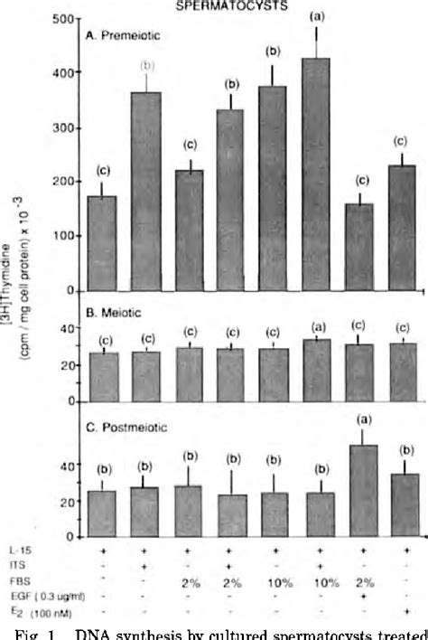 Figure From Culture Of Intact Sertoli Germ Cell Units And Isolated