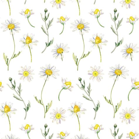 Premium Vector Chamomile Seamless Pattern In Watercolor Style Floral