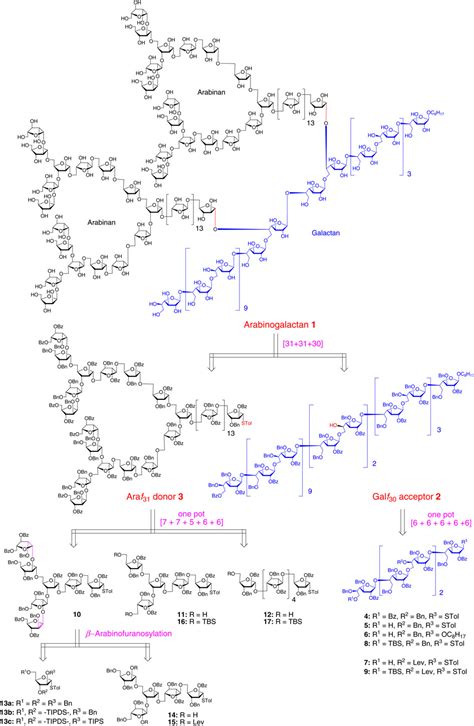 Total Synthesis Of Mycobacterial Arabinogalactan Containing