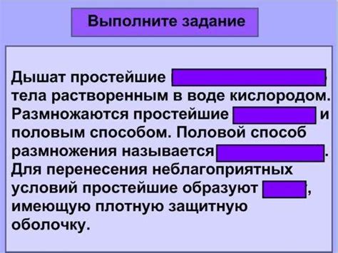 Подцаство Простейшие - презентация онлайн