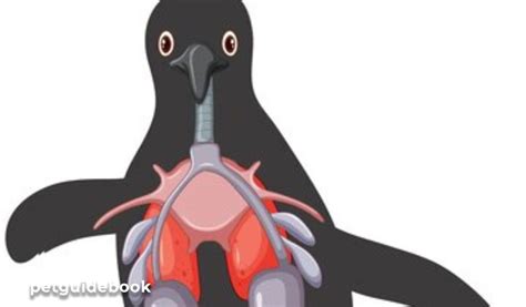 5 Surprising Facts About Bird Lung Disease You Need To Know