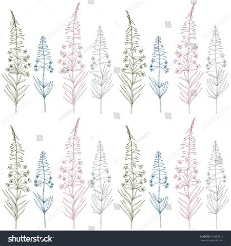 Vector Floral Seamless Pattern Fireweed Plant Stock Vector Royalty