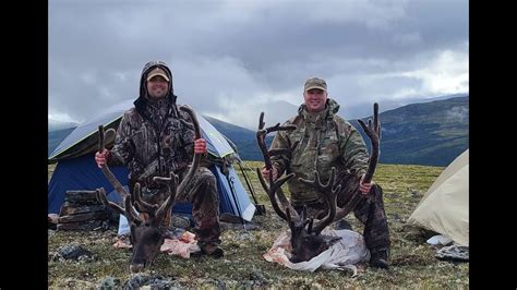 Fall Fortymile White Mountains Caribou Hunt Steese Highway Alaska