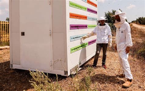 Ante Los Desaf Os Laborales Y Clim Ticos Agricultores Recurren A