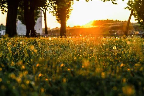 Park at beautiful sunset stock photo. Image of beautiful - 36790688