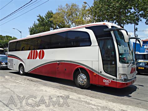 Aycamx Autobuses Y Camiones M Xico Autobuses For Neos