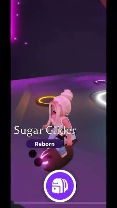 Neon Sugar Glider In Adopt Me 🥹🫶🏼 Roblox Adoptmeroblox Adoptme