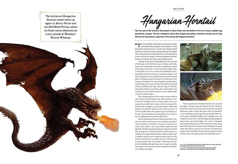 Harry Potter Creatures Of The Wizarding World Book By Jody Revenson