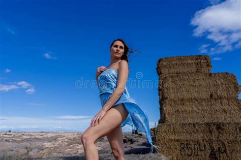 Brunette Beauty In Golden Fields A Captivating Pose Under Azure Skies