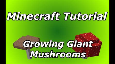 Minecraft Tutorial Growing Giant Mushrooms Without Mycelium Works In