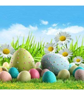 Computer Printed Backdrops - Photography Backdrops Backdrops Wholesale ...