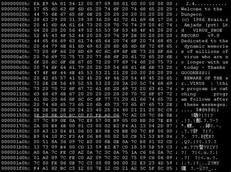 What was the first computer virus released in the wild?