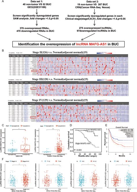 MAFGAS1 Is Highly Expressed And Negatively Correlated With Prognosis