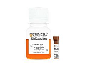 Stemdiff Sensory Neuron Maturation Kit Stemcell Technologies